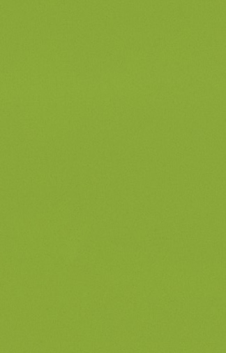 Itati Marmoleria - Silestone - Verde Fun